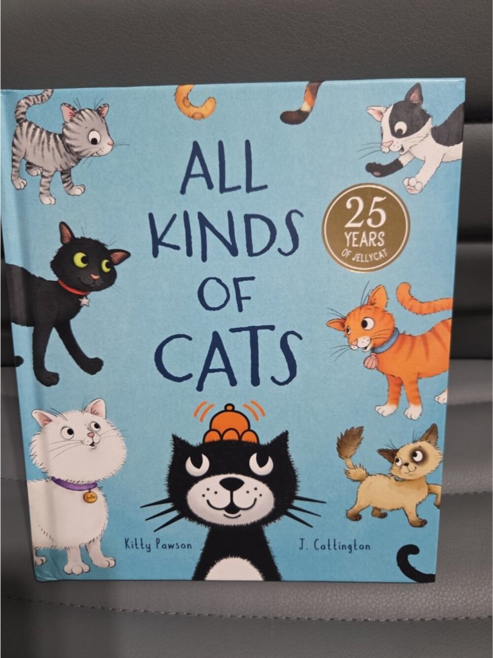 Jellycat All Kinds of Cats Book 25 Years Children’s Picture Book EUC